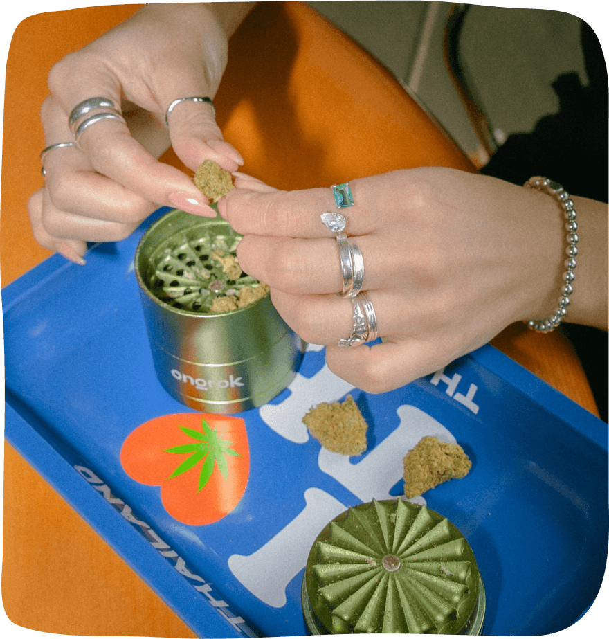 A shiny green grinder sits partially open, on top of a cannabis rolling tray as two hands break up cannabis flower and place it in the top of the grinder.